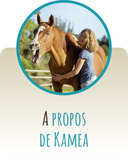 A propos de Kamea
