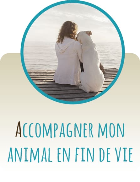 Accompagner mon animal en fin de vie