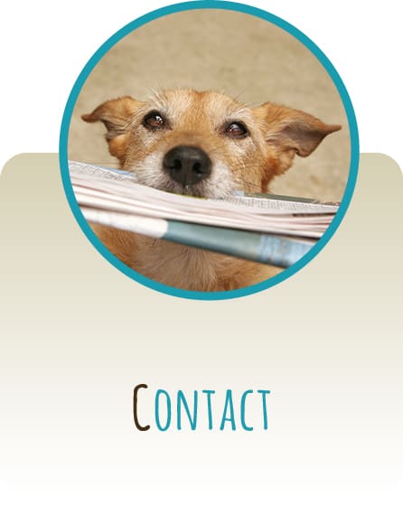 Contact