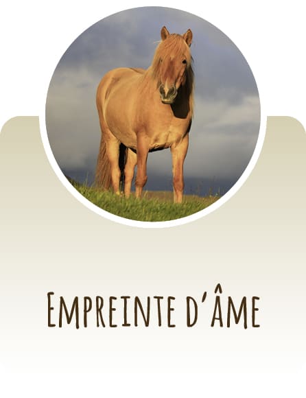 Empreinte d'Âme