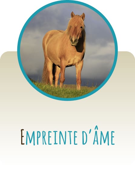 Empreinte d'Âme