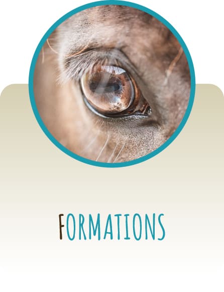 Formations