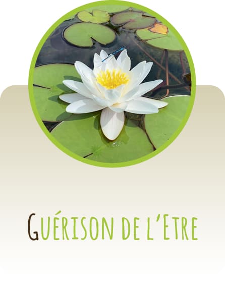 Guérison de l'Être