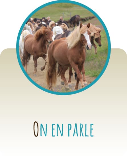 On en parle